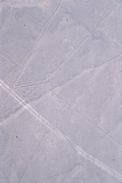 The Dog, Nazca Lines, Ica, Peru, 2015.