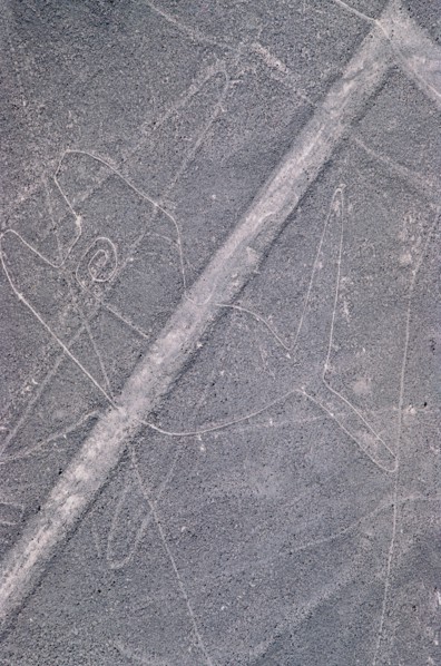 The Whale, Nazca Lines, Ica, Peru, 2015.