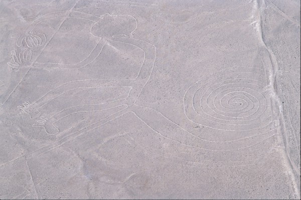 The Monkey, Nazca Lines, Ica, Peru, 2015.