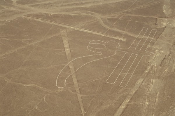 The Parrot, Nazca Lines, Ica, Peru, 2015.