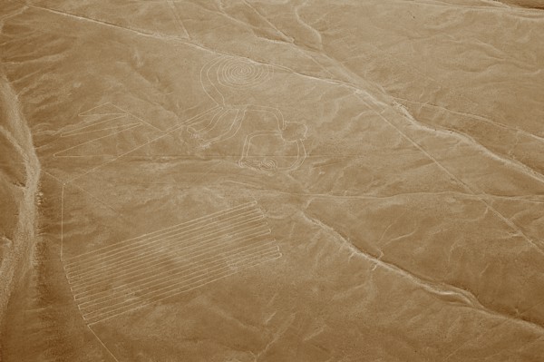 The Monkey, Nazca Lines, Ica, Peru, 2015.