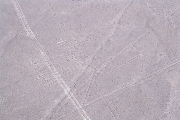 The Dog, Nazca Lines, Ica, Peru, 2015.