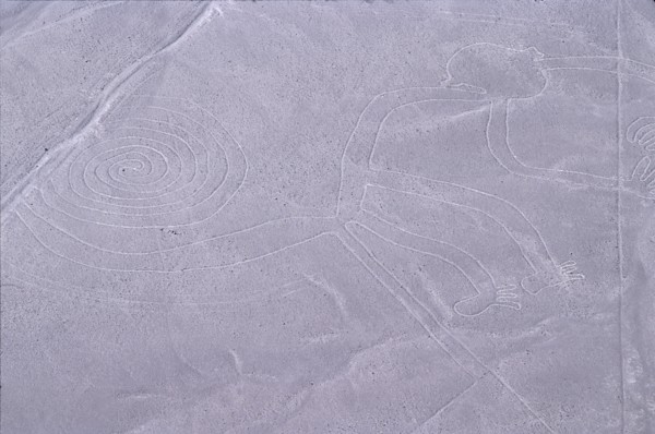 The Monkey, Nazca Lines, Ica, Peru, 2015.