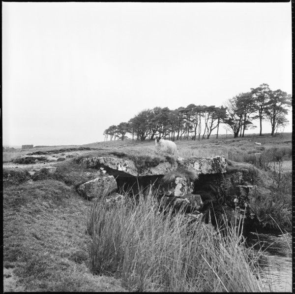 Powder Mills Clapper Bridge, Dartmoor, Devon, 1967