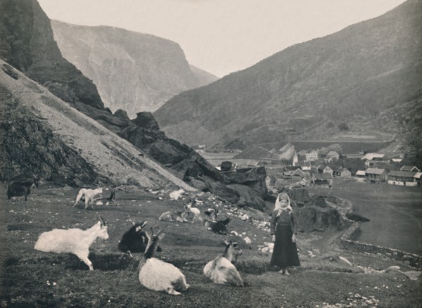 Flaam', 1914.