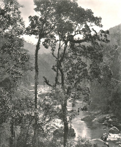 View of the Kelani River, Kurunegala, Ceylon, 1895.