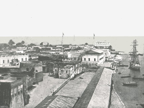 General view of the capital, Zanzibar, 1895.