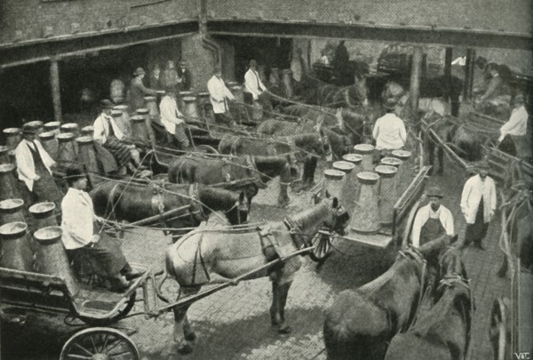 Delivery Vans Starting from Messrs, Freeth and Pocock's Central Depot at Vauxhall', 1902.
