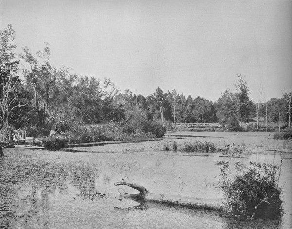 Scene in Mississippi', c1897.