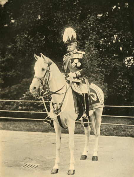 'Earl Roberts on his Favourite White Arab "Vonolel"', c1898, (1901).  Creator: John Chancellor.