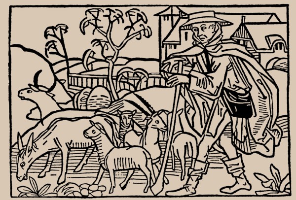 Shepherd. From Speculum Vitae Humanae by Rodericus Zamorensis, 1479.