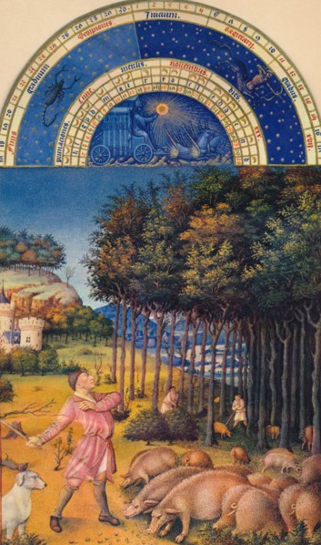 November - feeding pigs on acorns