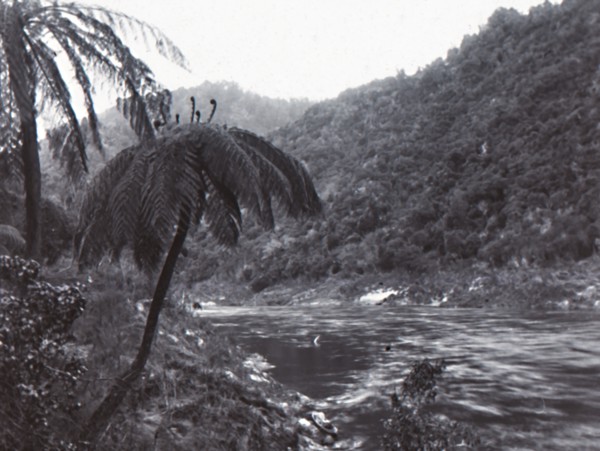 Wanganui River', late 19th-early 20th century.
