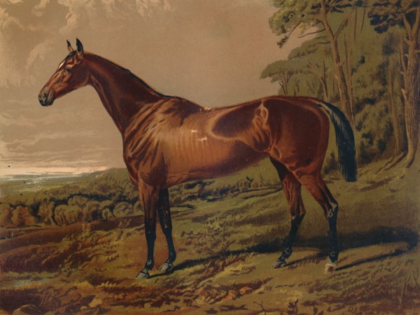 Fair Nell', c1879.