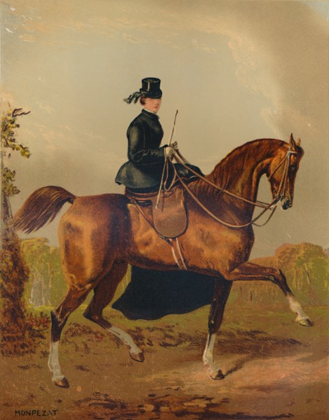 A Ladies Horse - The Property of the Late Earl of Pembroke', c1840s, (c1879).