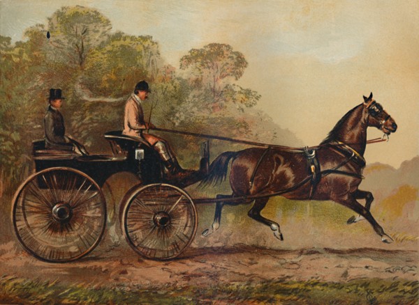 Single Harness Phaeton Horse "Columbine". Property of Charles Baynes Esq., 1872', c1879