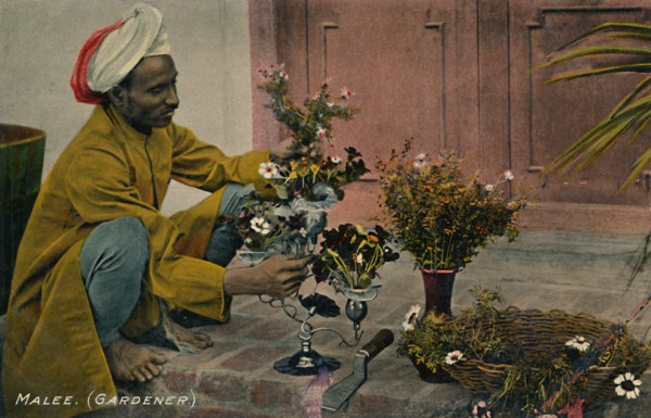 Malee. (Gardener)', c1910.