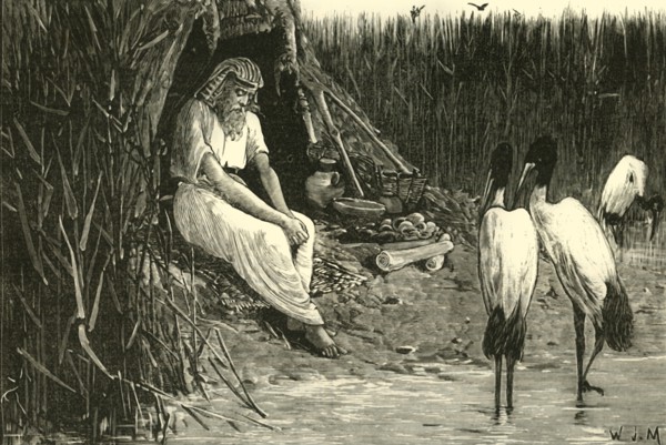 Anysis Concealed in the Marshes of the Delta', 1890.
