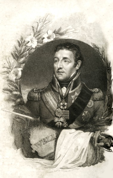 'His Grace the Duke of Wellington', (1769-1852)