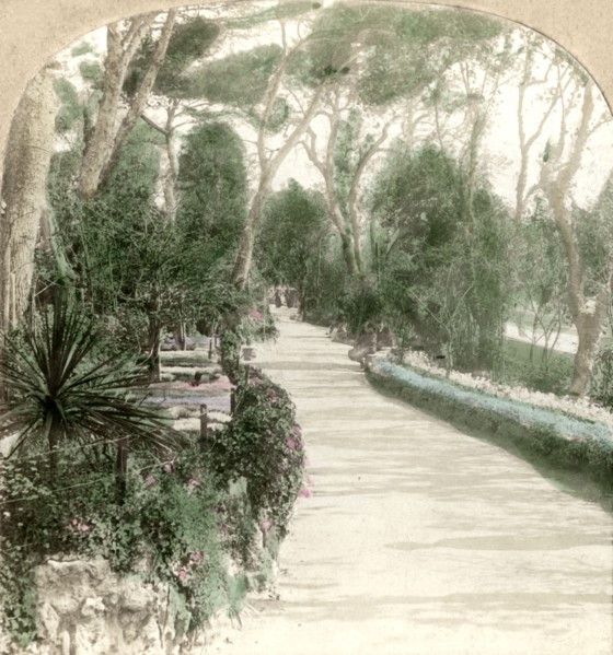 'Promenade, Alameda Garden