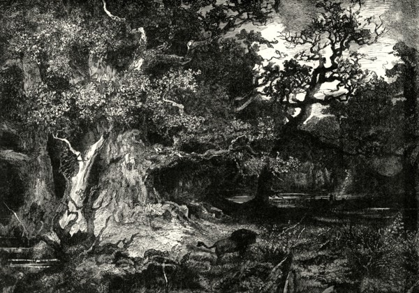 'An Old German Forest',1890