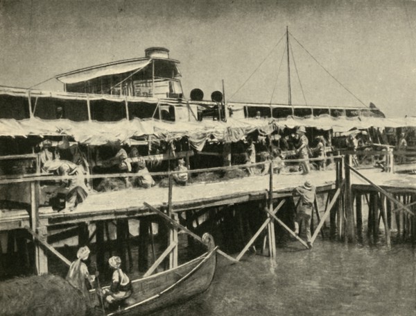 'Indian Horse Transport for the Tigris Force', First World War, 1916, (c1920). Creator: Unknown.