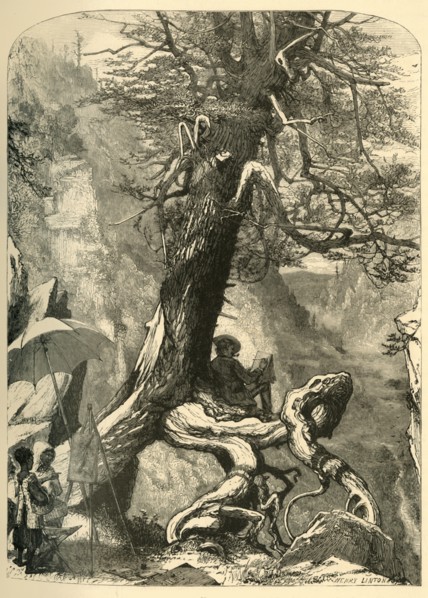 'Above the Natural Bridge', 1872.  Creator: Henry Duff Linton.