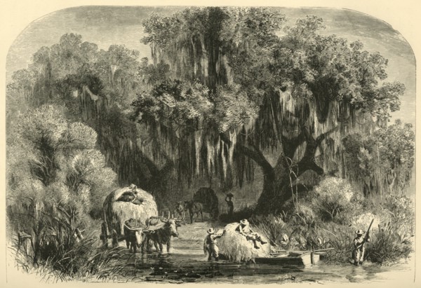 'The Moss-Gatherers', 1872.  Creator: Alfred Waud.