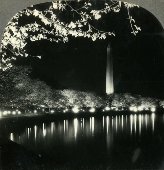 'When It Is Cherry Blossom Time in Washington - A Lovely Night View of Washington Monument', c1930s. Creator: Unknown.