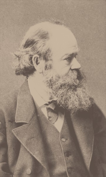 Portrait of the composer Robert von Hornstein (1833-1890). Creator: Hanfstaengl, Franz (1804-1877).