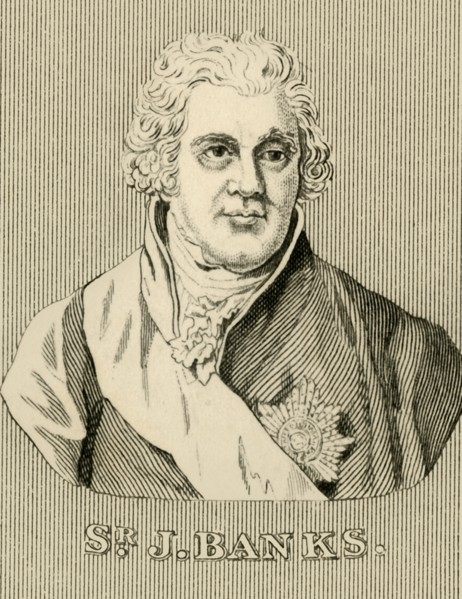 'Sir J. Banks', (1743-1820, 1830. Creator: Unknown.