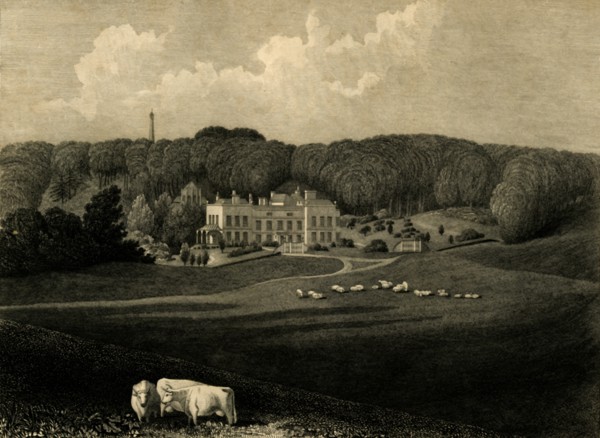 'Muntham', 1835. Creator: Charles J Smith.