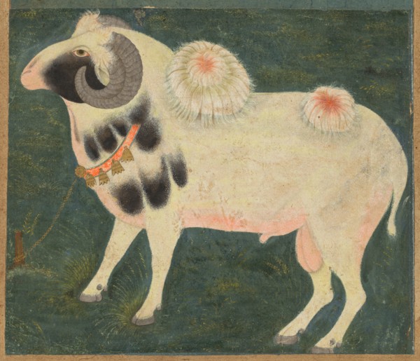 A royal ram with a gold chain, c. 1585; border added probably 1700s. Creator: Unknown.