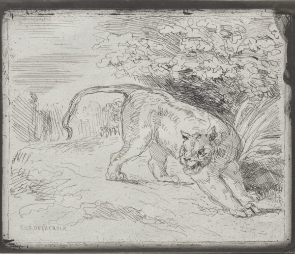 A Trapped Tiger, 1854. Creator: Eugène Delacroix (French, 1798-1863).