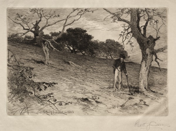 An Old New England Orchard, 1883. Creator: George Henry Smillie (American, 1840-1921).