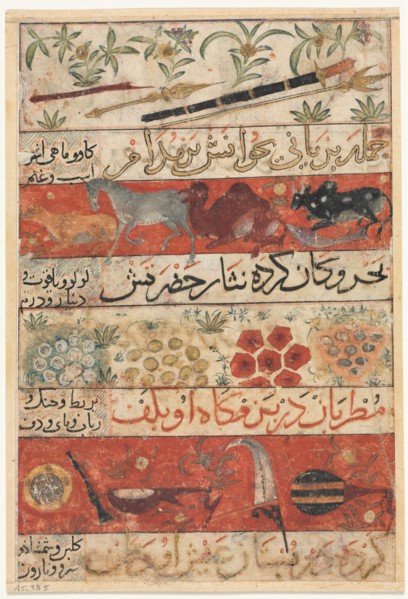 Animals, Precious Stones, Coins, and Musical Instruments (recto); Animals, Birds, and Plants (verso) Creator: Unknown.