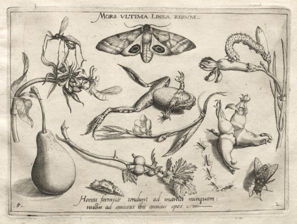Archetypes and Studies: Death is the line that marks the end of all (Part II, plate 5), 1592. Creator: Joris Hoefnagel (Flemish, 1542-1601).