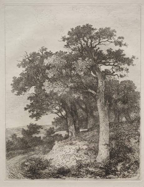 At Colney. Creator: John Crome (British, 1768-1821).