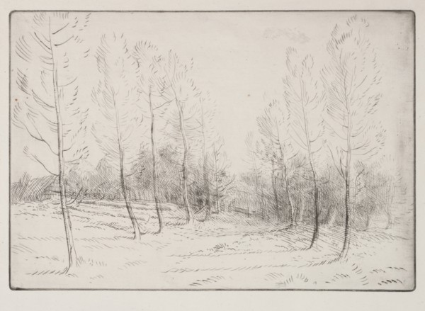 Avenue of Poplars. Creator: Alphonse Legros (French, 1837-1911).