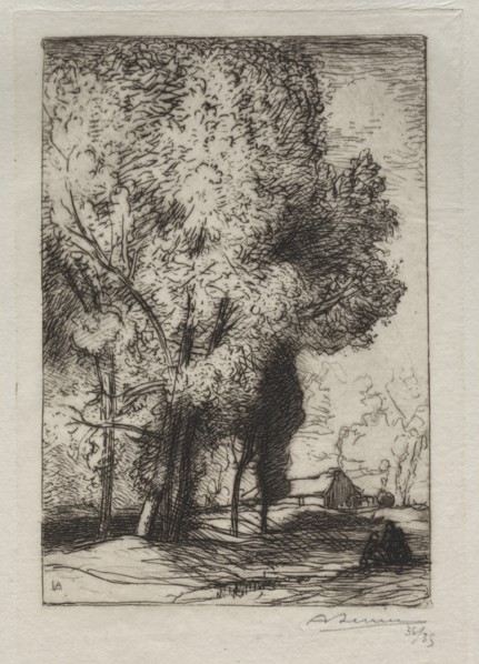 Bourrine dans les Peupliers, 1911. Creator: Auguste Louis Lepère (French, 1849-1918).