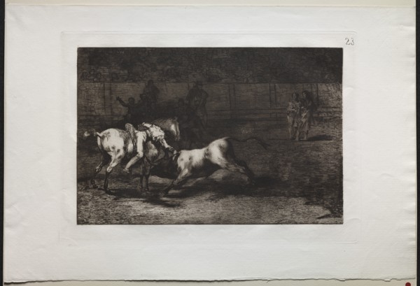 Bullfights: Mariano Ceballos, Alias the Indian, Kills the Bull From his Horse, 1876. Creator: Francisco de Goya (Spanish, 1746-1828).
