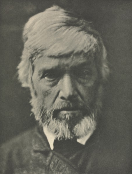 Camera Work: Carlyle, 1913. Creator: Julia Margaret Cameron (British, 1815-1879).