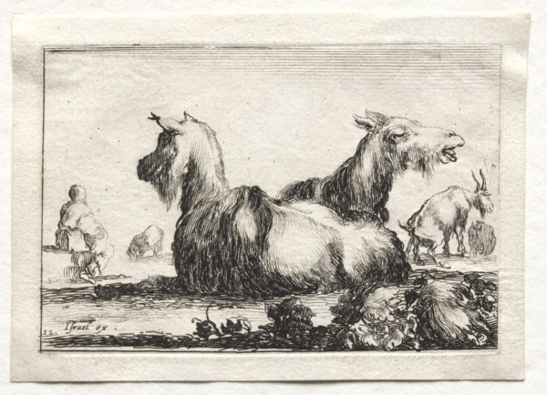 Caprices: Two Goats. Creator: Stefano Della Bella (Italian, 1610-1664).