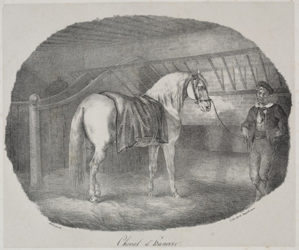 Cheval dHanovre. Creator: Théodore Géricault (French, 1791-1824).