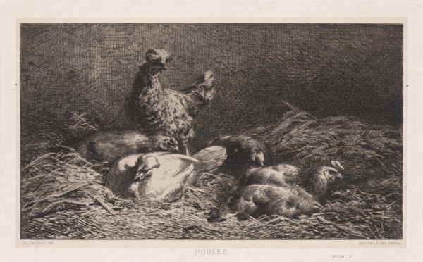 Chickens (Poutes), 1867. Creator: Charles-Émile Jacque (French, 1813-1894).