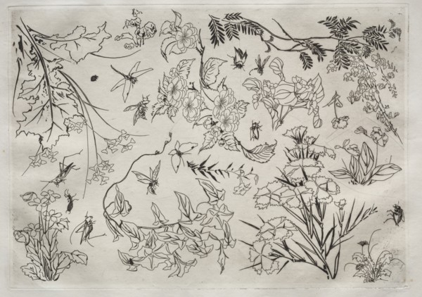 Dinner Service (Rousseau service): Flowers (no. 22), 1866. Creator: Félix Bracquemond (French, 1833-1914).