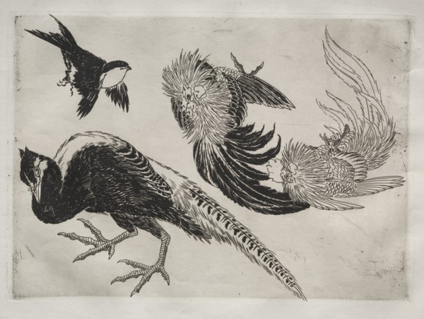 Dinner Service (Rousseau service): Pheasants and bird (no. 18), 1866. Creator: Félix Bracquemond (French, 1833-1914).