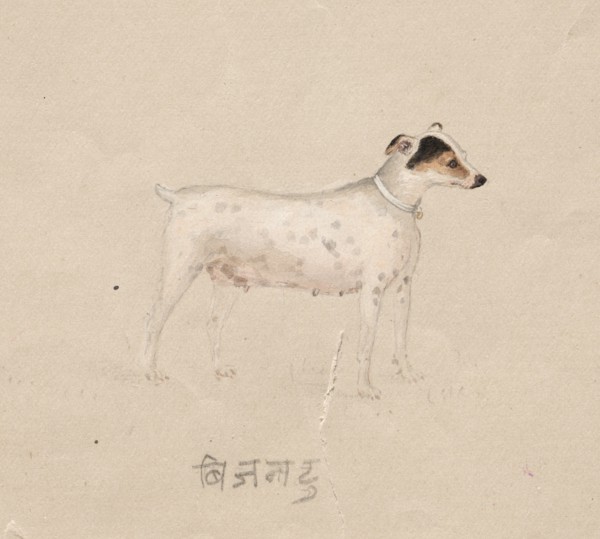 Dog, 1800s. Creator: Unknown.