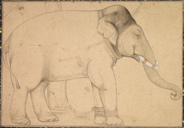 Drawing of an Elephant, c. 1700. Creator: Unknown.