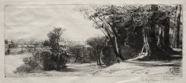 Early Morning, Richmond Park. Creator: Francis Seymour Haden (British, 1818-1910).